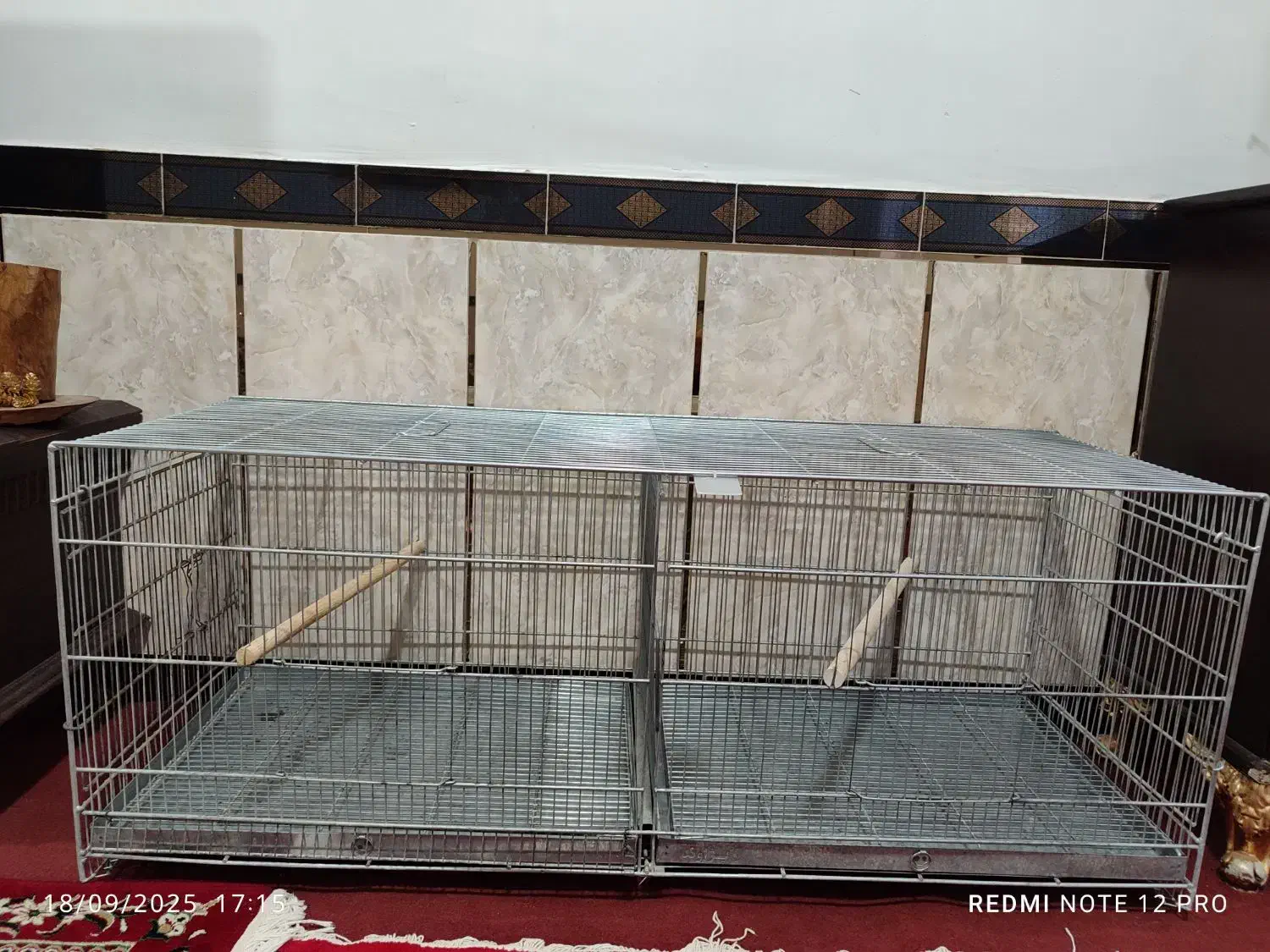 قفس جفتخوان پژاوند.لانه عروس هلندی|لوازم جانبی حیوانات|نهاوند, |دیوار