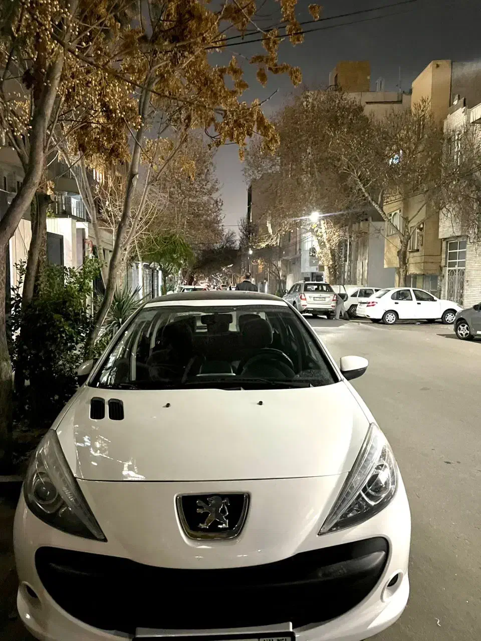 پژو ۲۰۷ پانا فرمان برقی ۱۴۰۰|خودرو سواری و وانت|مشهد, احمدآباد|دیوار