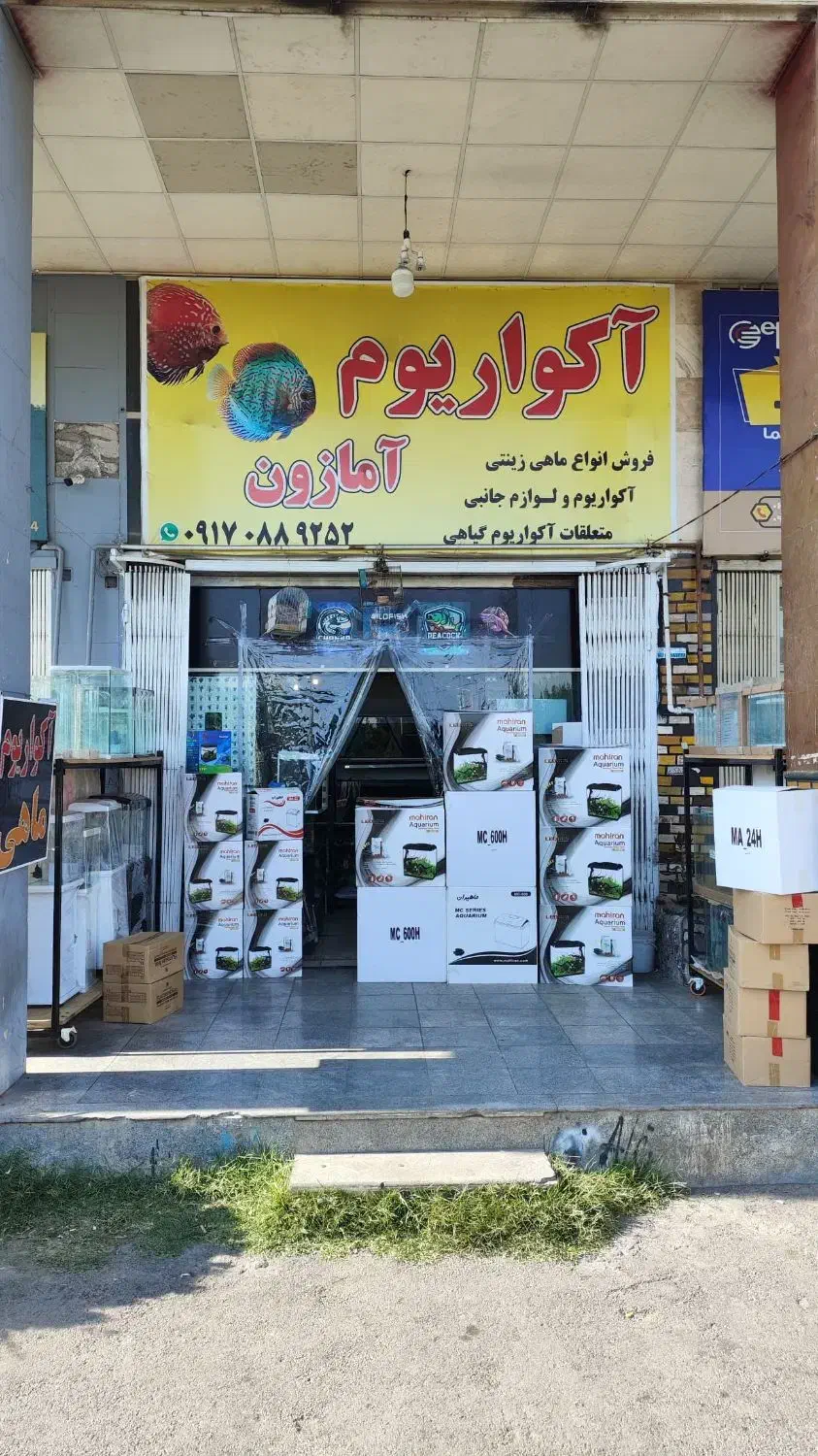 آکواریوم های ماهیران، دلسا، آکوا، apa|ماهی|شیراز, درکی|دیوار