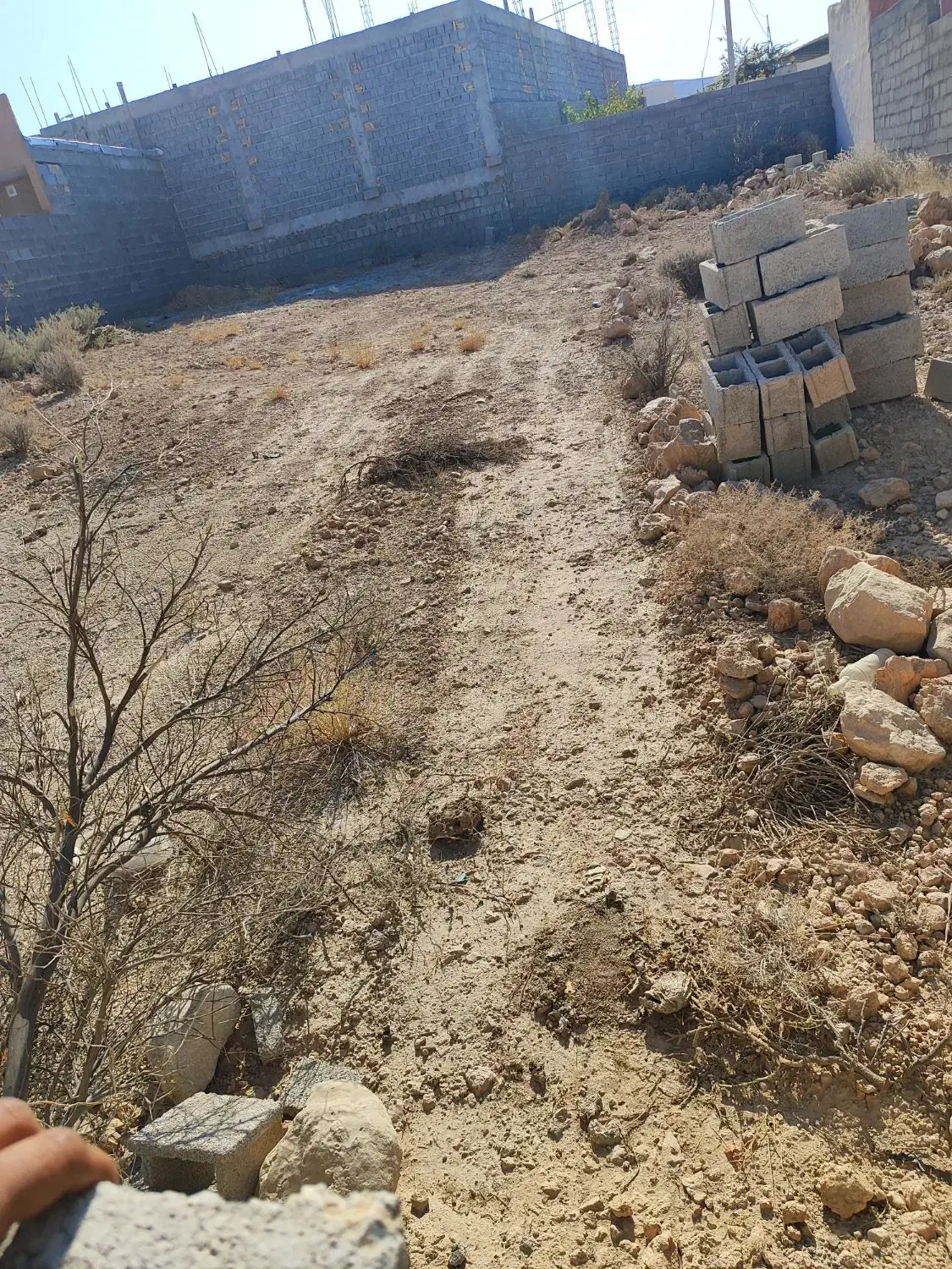 فروش زمین  حسین اباد داخل طرح|فروش زمین و ملک کلنگی|جهرم, |دیوار