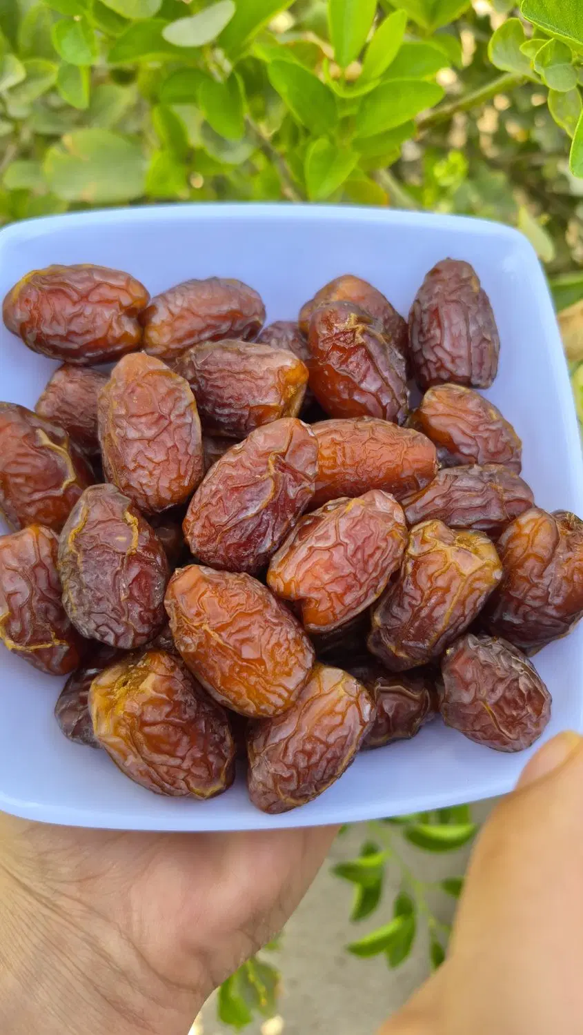 فروش خرما بریمی|خوردنی و آشامیدنی|تهران, حصار بوعلی|دیوار