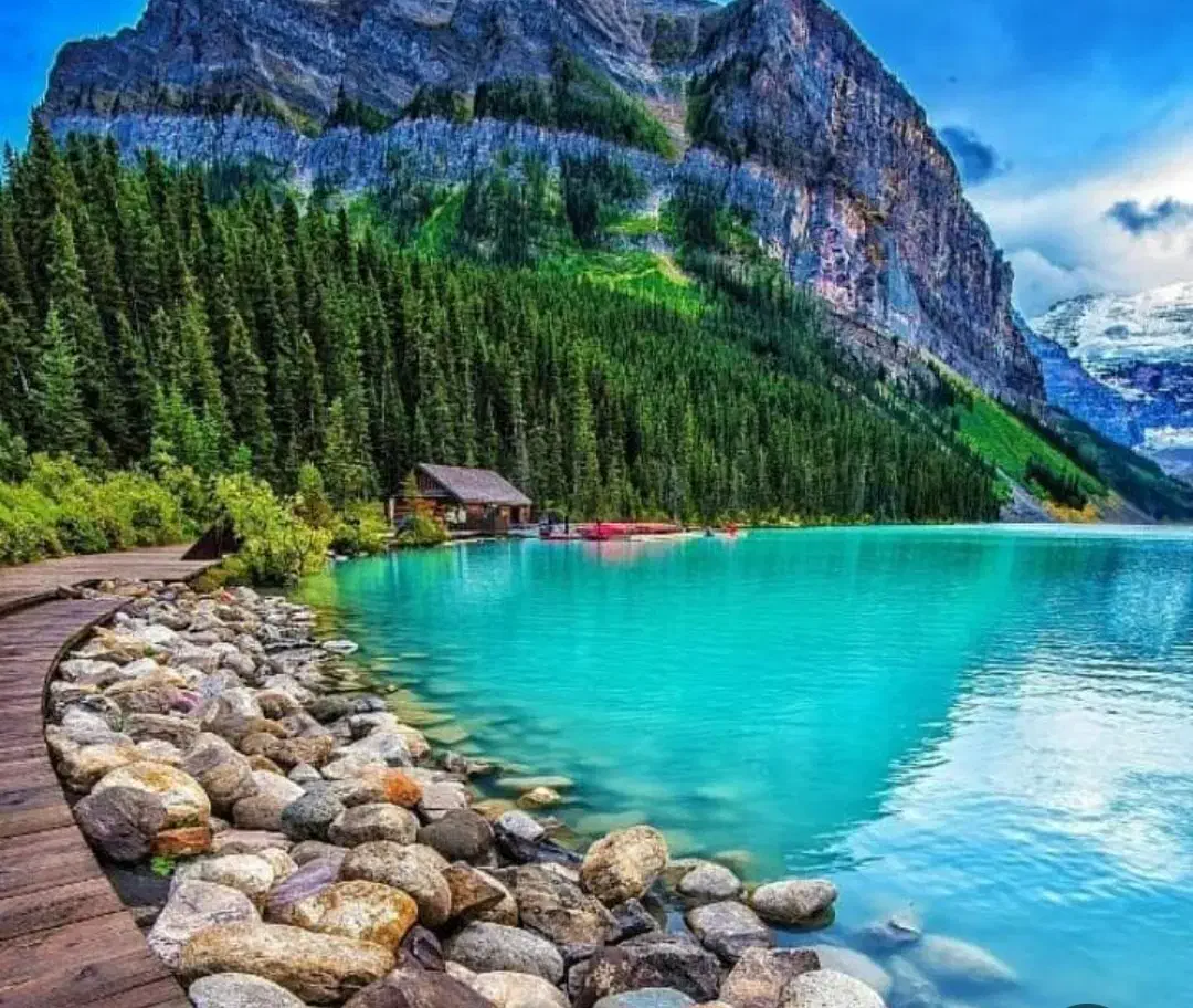 آب موتور|خدمات باغبانی و درختکاری|صوفیان, |دیوار