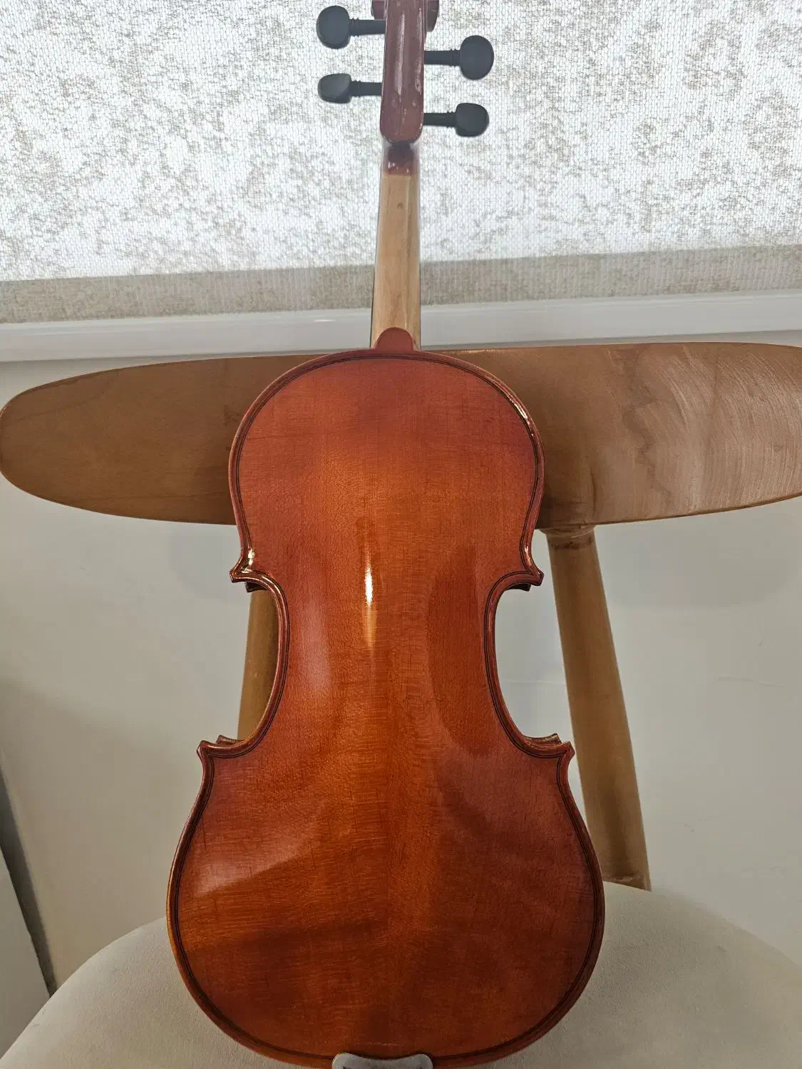 ویلن برند renato اوجینال|ویولن|تهران, اکباتان|دیوار