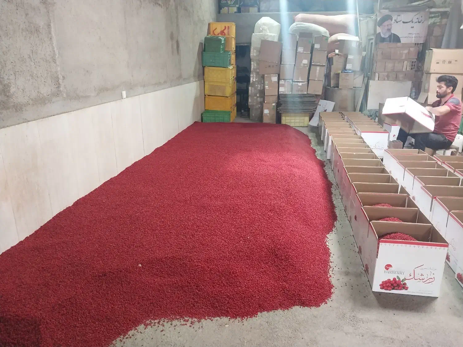 زرشک دانه اناری درجه یک اصل قاینات|عمدهفروشی|قائن, |دیوار