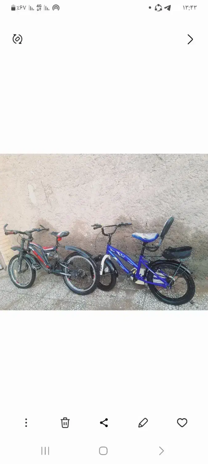 فروش دوچرخه|دوچرخه، اسکیت، اسکوتر|کاشان, میدانگاه آقا|دیوار