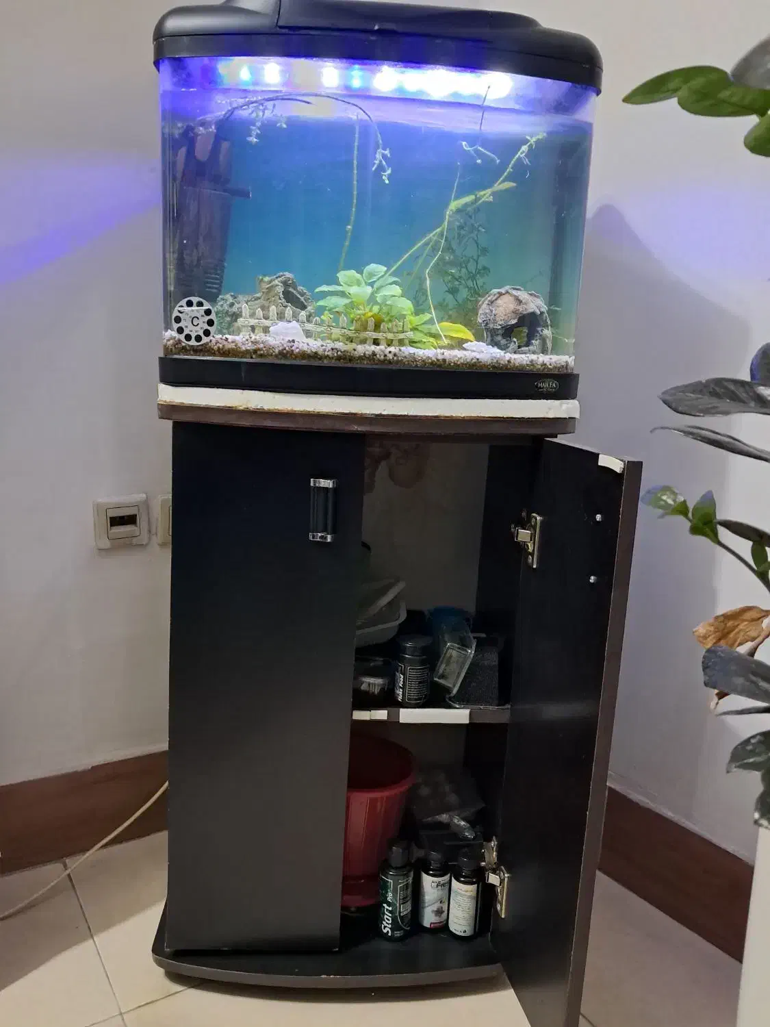 آکواریوم با میز ایستاده دو درب|ماهی|رشت, فلسطین|دیوار