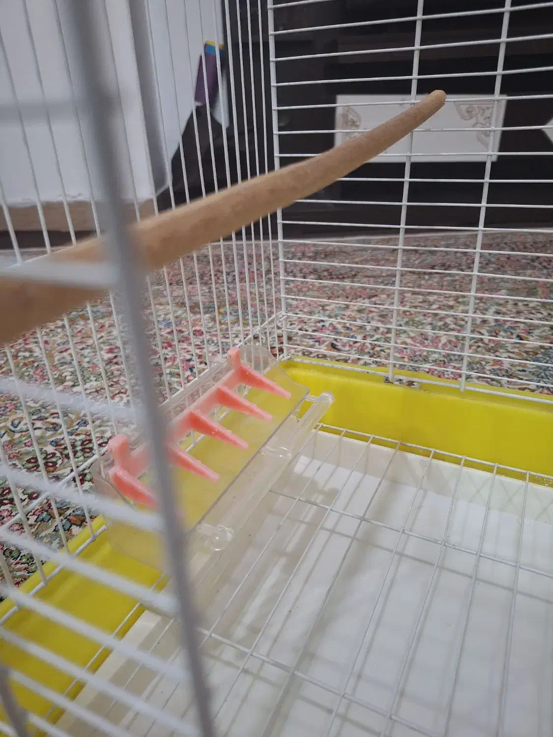 قفس پرنده نو با وسایل|لوازم جانبی حیوانات|جیرفت, |دیوار