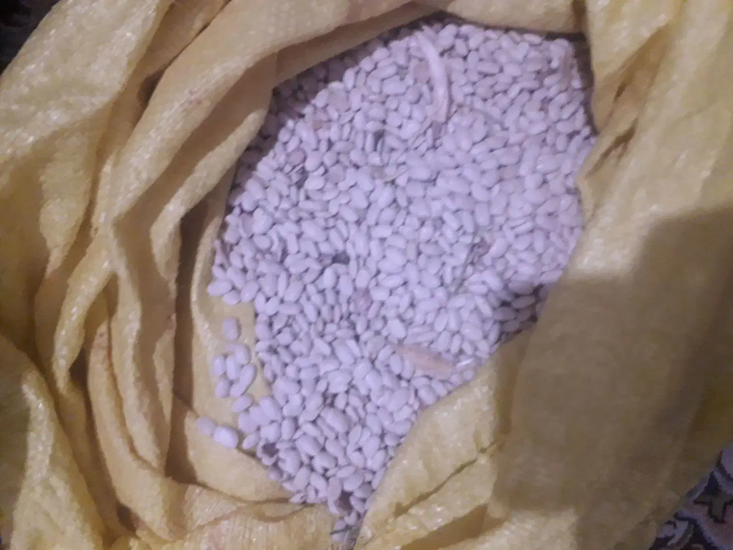 لوبیا سفید|عمدهفروشی|ازنا, |دیوار