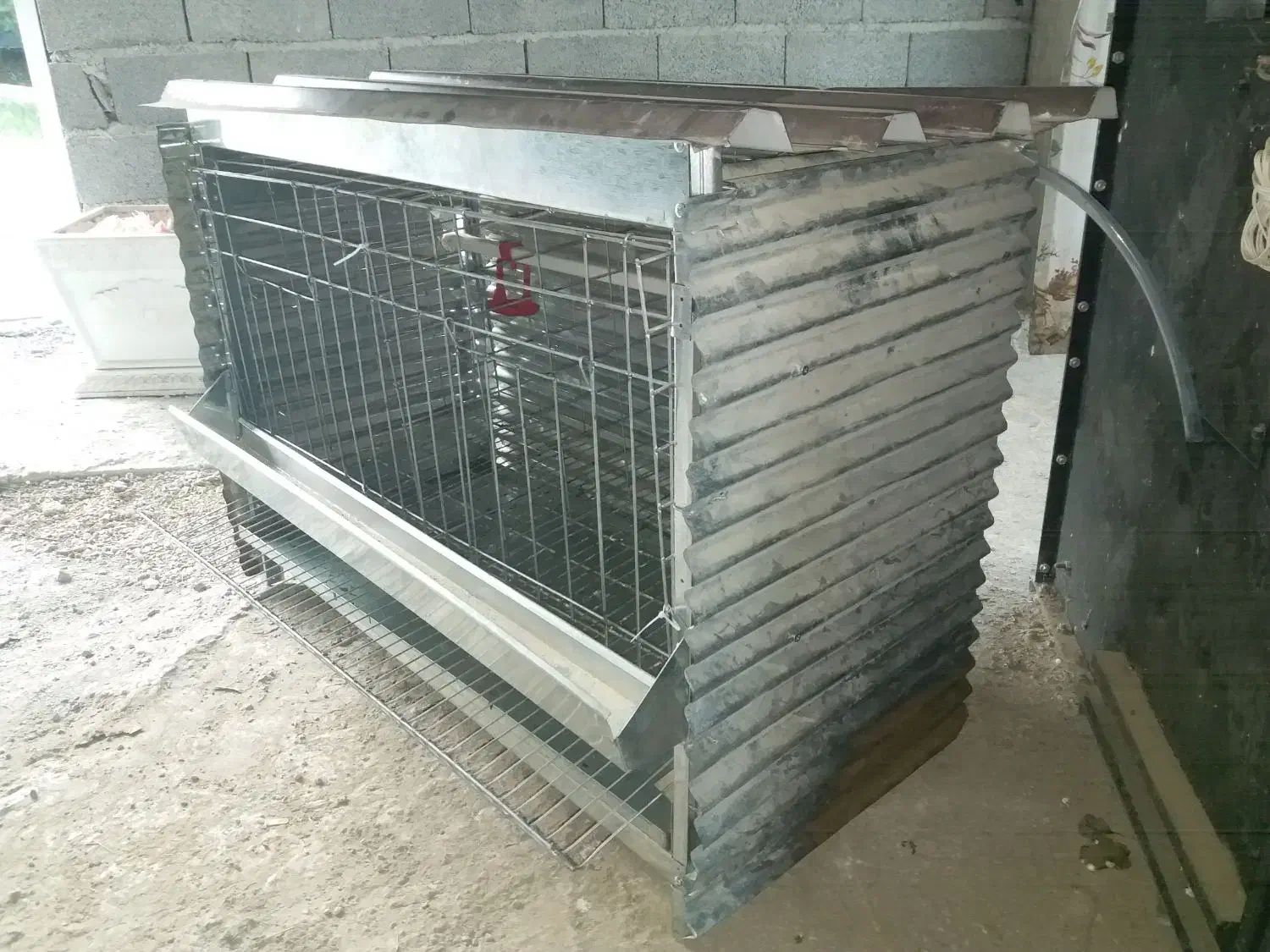 قفس مرغ تخمگذار|لوازم جانبی حیوانات|رحیم‌آباد, |دیوار