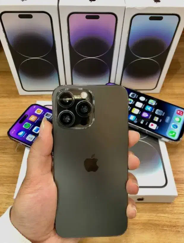 آیفون Iphone 14 Promax (اقساط 3 درصد بدون چک)|موبایل|مشهد, دانشجو|دیوار