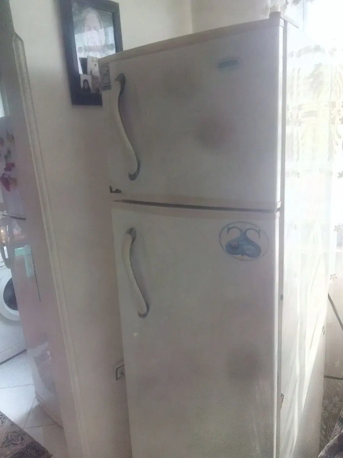 یخچال درحدنو|یخچال و فریزر|رشت, استقامت ۱|دیوار