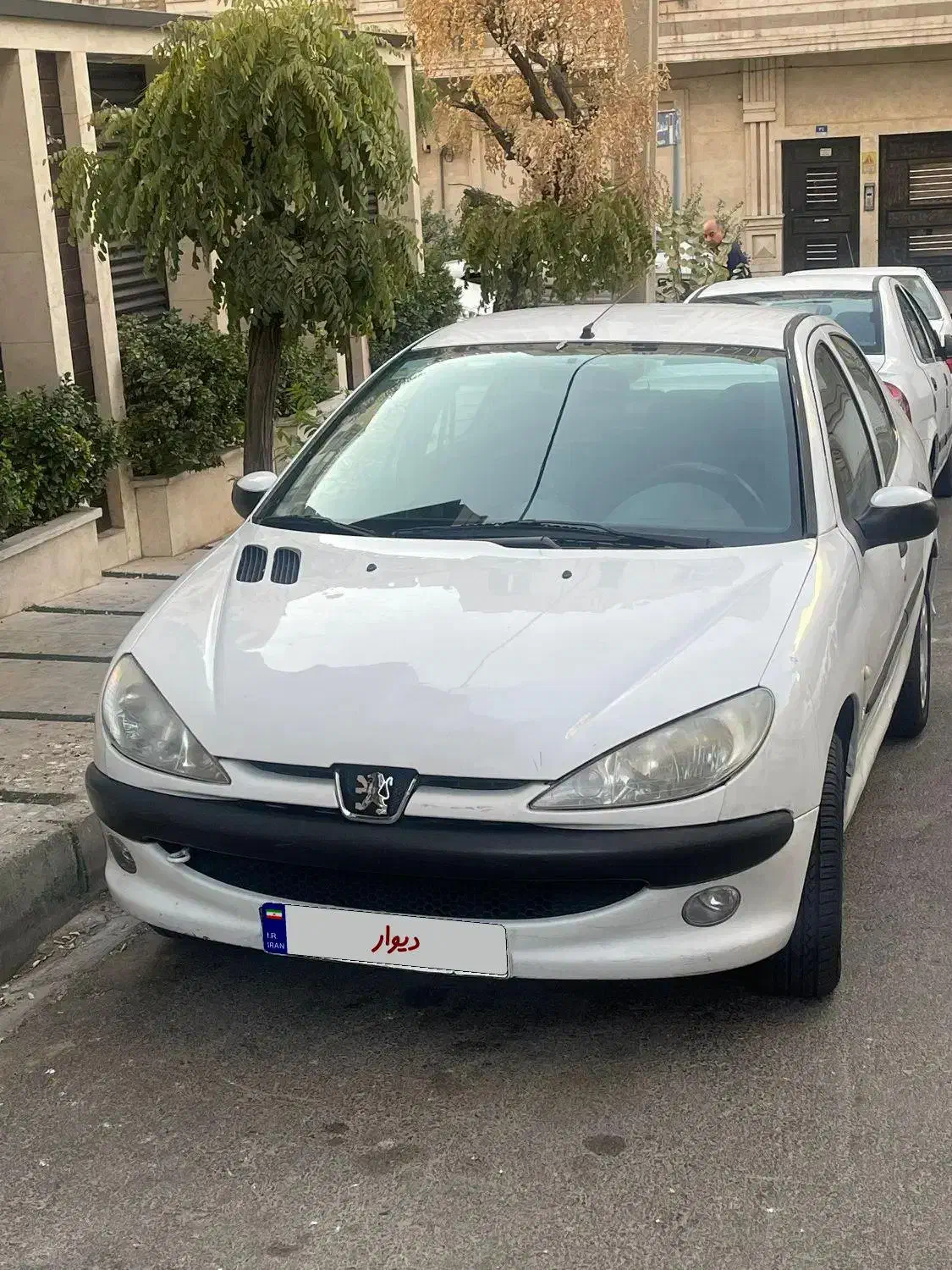 206 sd v8|خودرو سواری و وانت|تهران, لاله زار|دیوار