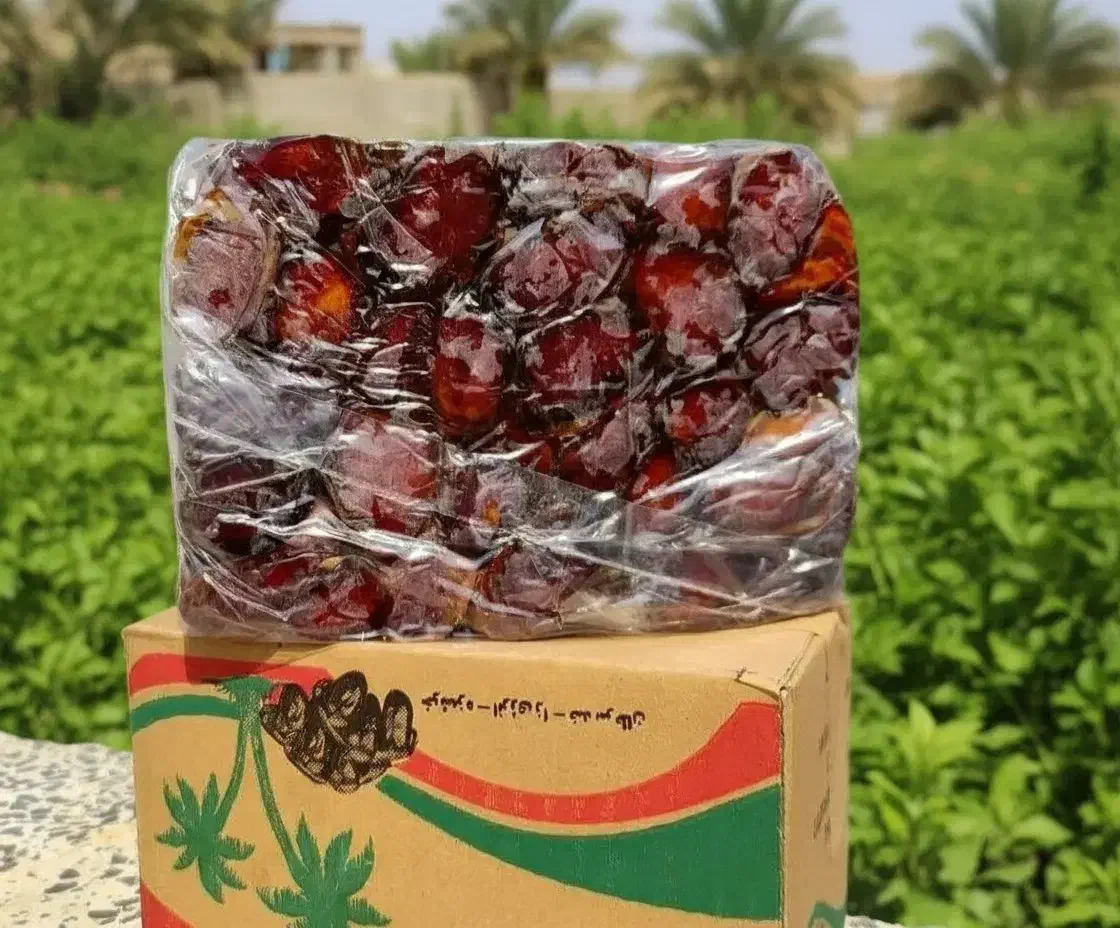 رطب و خرمای کبکاب جهرم|خوردنی و آشامیدنی|قم, تکیه آقا سید حسنی|دیوار