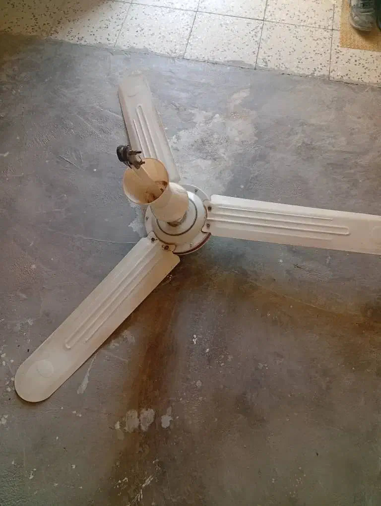 فروش پنکه سقفی|پنکه و تصفیه‌کنندهٔ هوا|لیکک, |دیوار