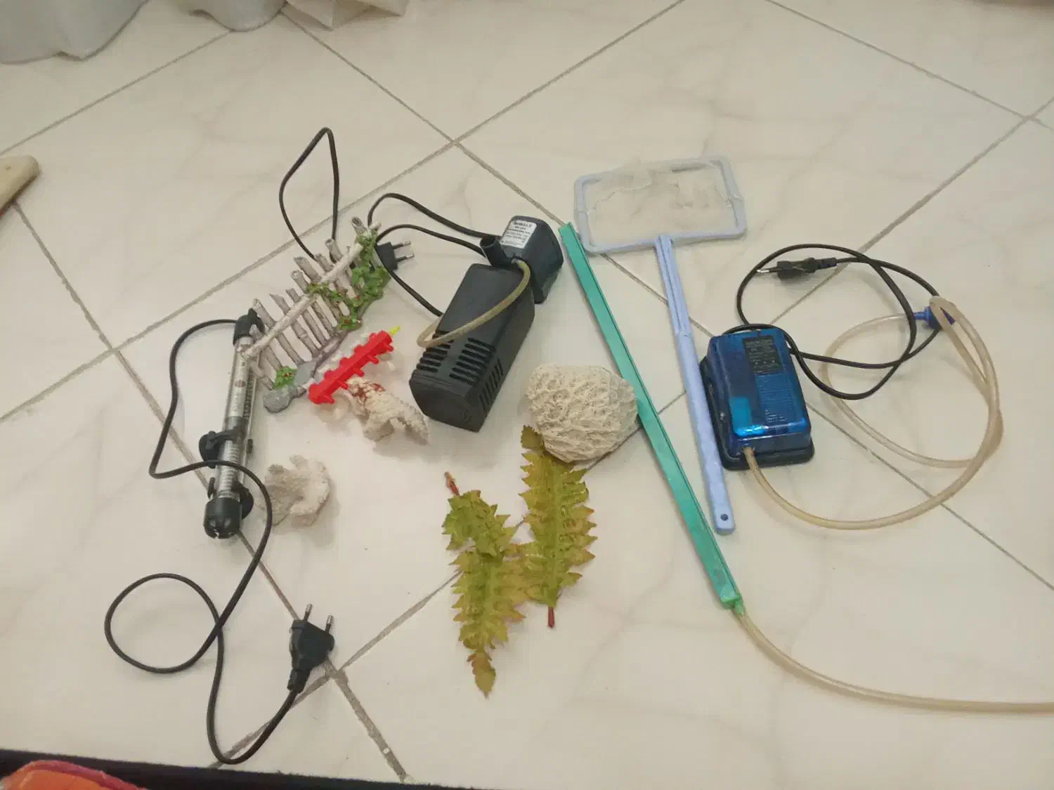 وسایل اکواریوم|ماهی|گلبهار, شهر جدید گلبهار|دیوار