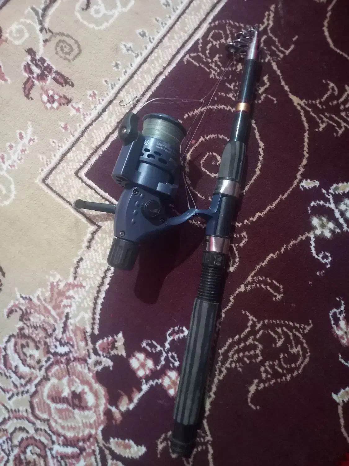 لنسر ماهی گیری|ماهیگیری|اندیمشک, |دیوار