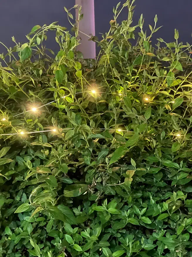 ریسه ۱۰ متری و پروژکتور خورشیدی چراغ قوه بزرگ|ریسه و چراغ تزئینی|مشهد, سپاد|دیوار