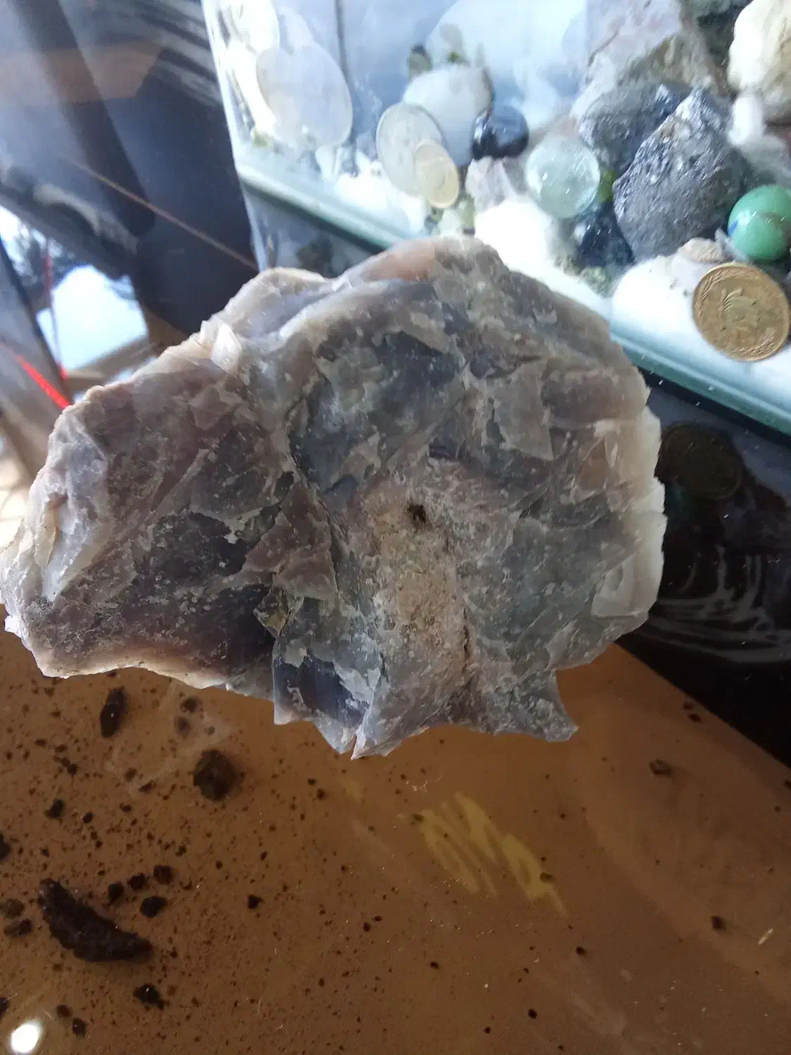 عقیق سوسنی شجر بسیار زیبا و چشم نواز راف|کلکسیون اشیاء عتیقه|هشتگرد, تهران دشت|دیوار