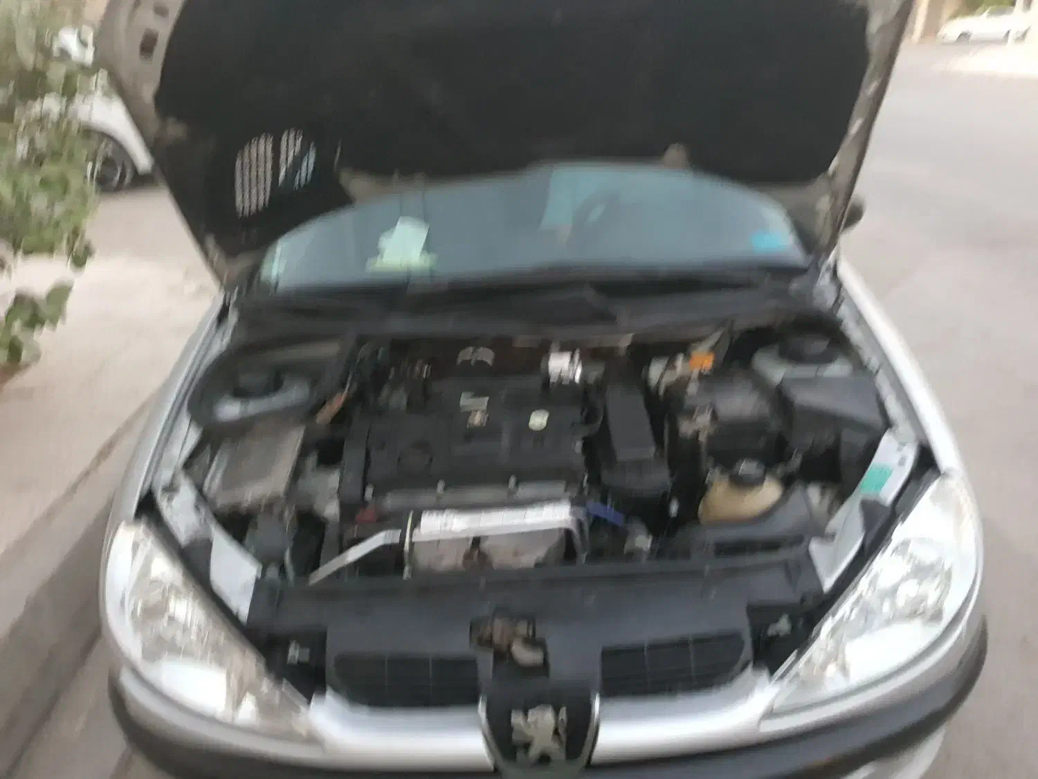 پژو۲۰۶ دوگانه کارخانه|خودرو سواری و وانت|بندرعباس, |دیوار