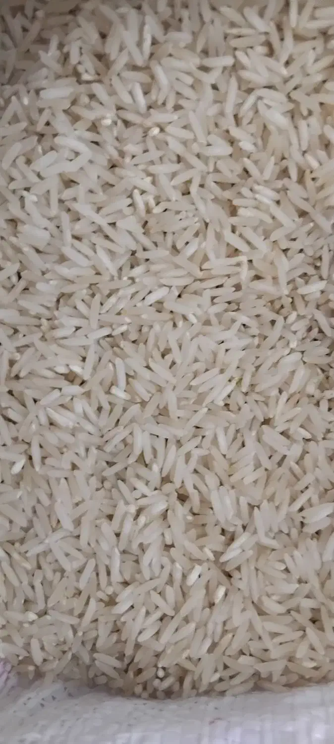 برنج طارم عطری|خوردنی و آشامیدنی|سیروان, |دیوار