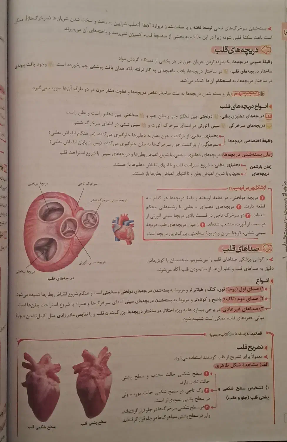 کتاب ماجرای بیست زیست شناسی ۱|کتاب و مجله آموزشی|لاهیجان, گلستان|دیوار
