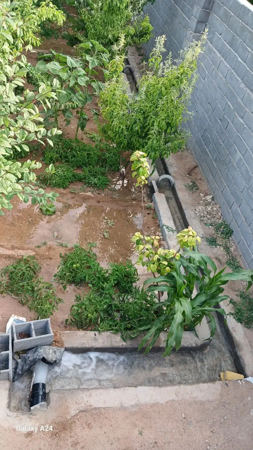 باغ در شهر نیر زیبای من|فروش خانه و ویلا|نیر (یزد), |دیوار