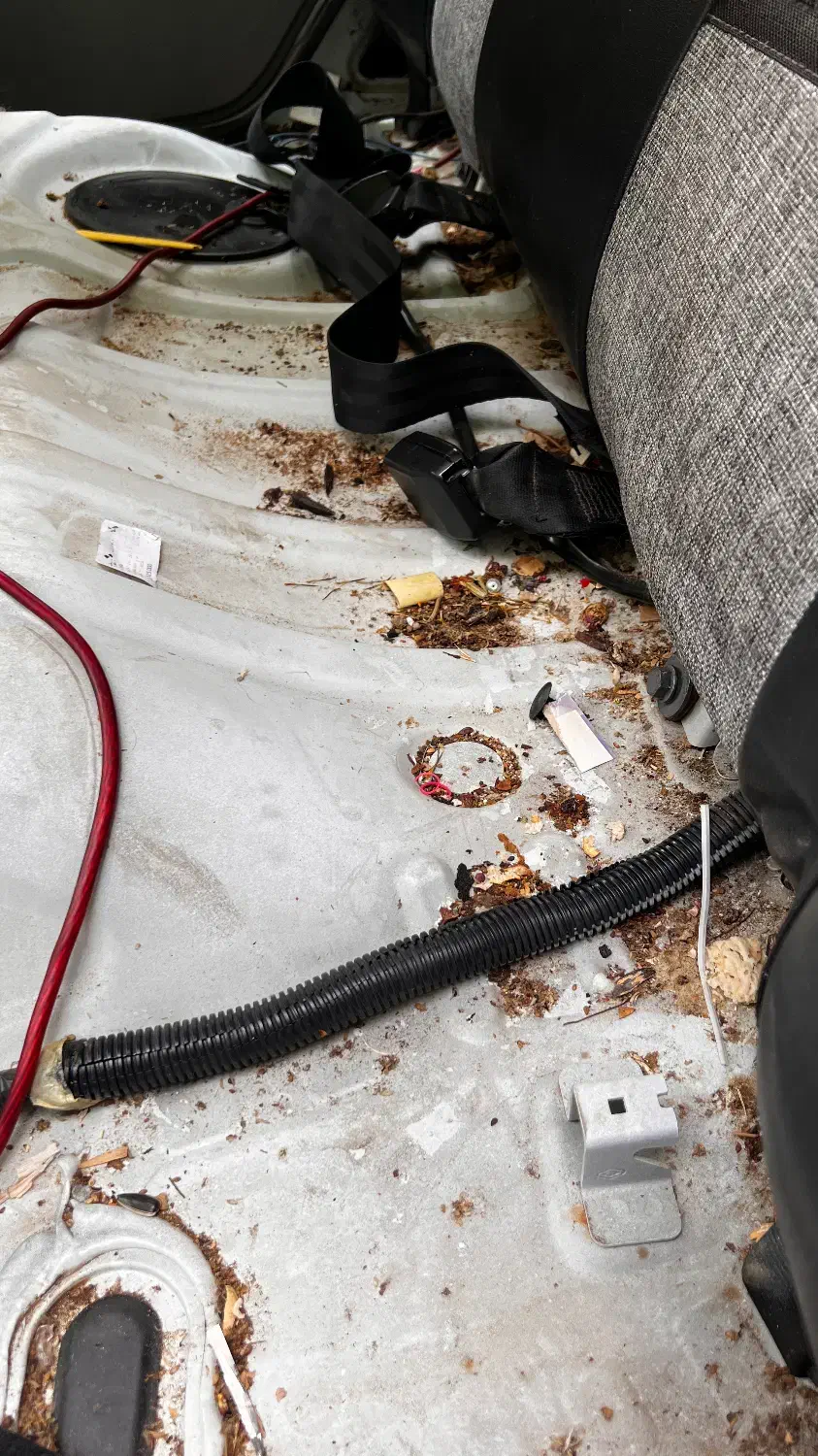 استخدام نیروی کار آقا و خانم در صفرشویی داخل خودرو|استخدام سرایداری و نظافت|ارومیه, |دیوار