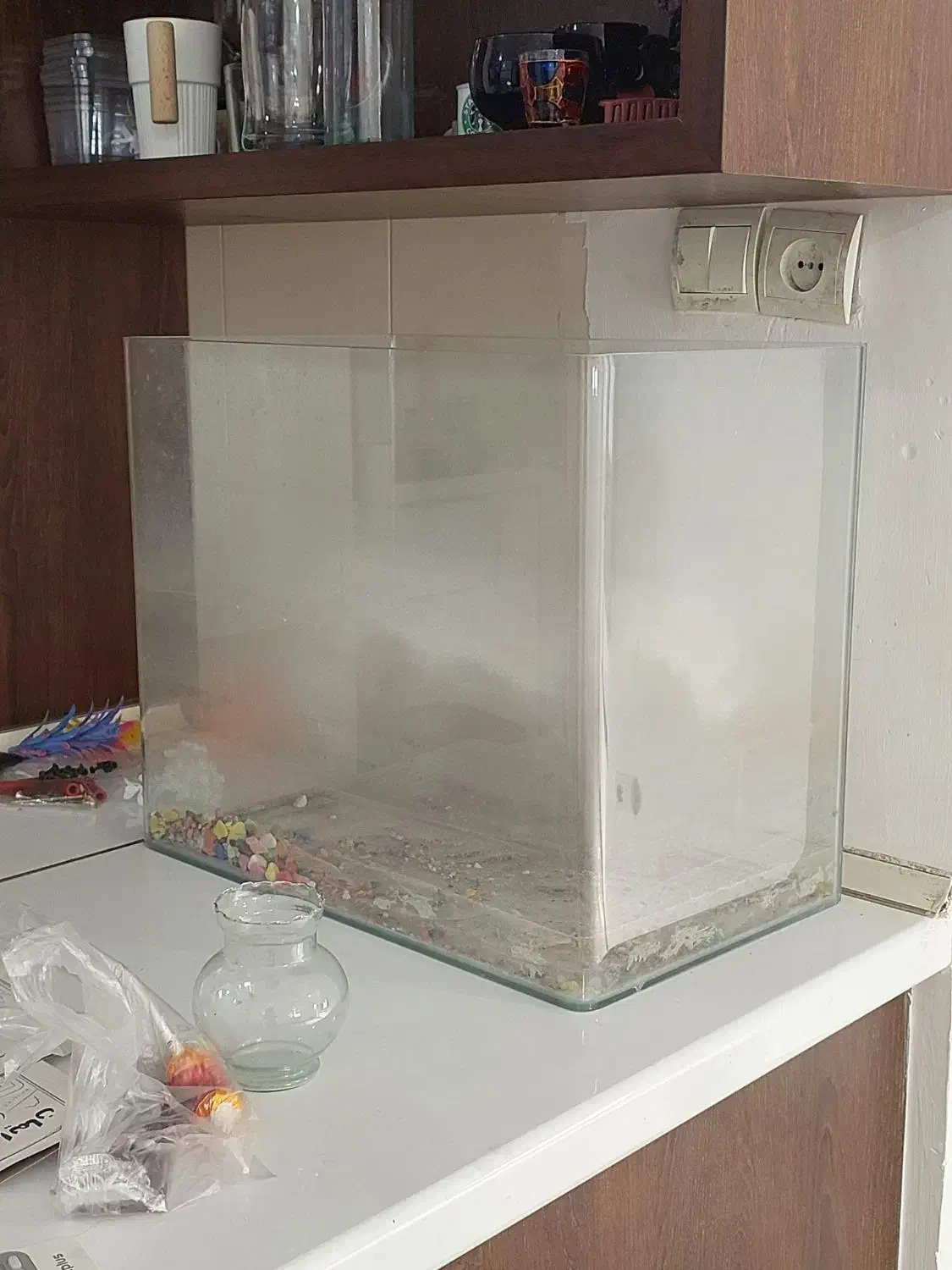 تنگ و اکواریوم|ماهی|بندرعباس, |دیوار