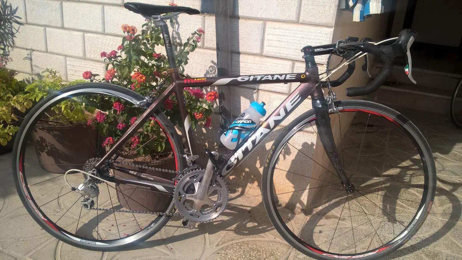 دوچرخه کورسی ژیتان 1600|دوچرخه، اسکیت، اسکوتر|تهران, دکتر هوشیار|دیوار