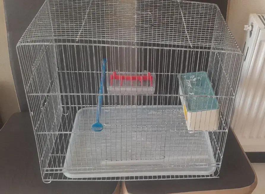 قفس پرنده|لوازم جانبی حیوانات|شاهین‌شهر, مسکن مهر|دیوار