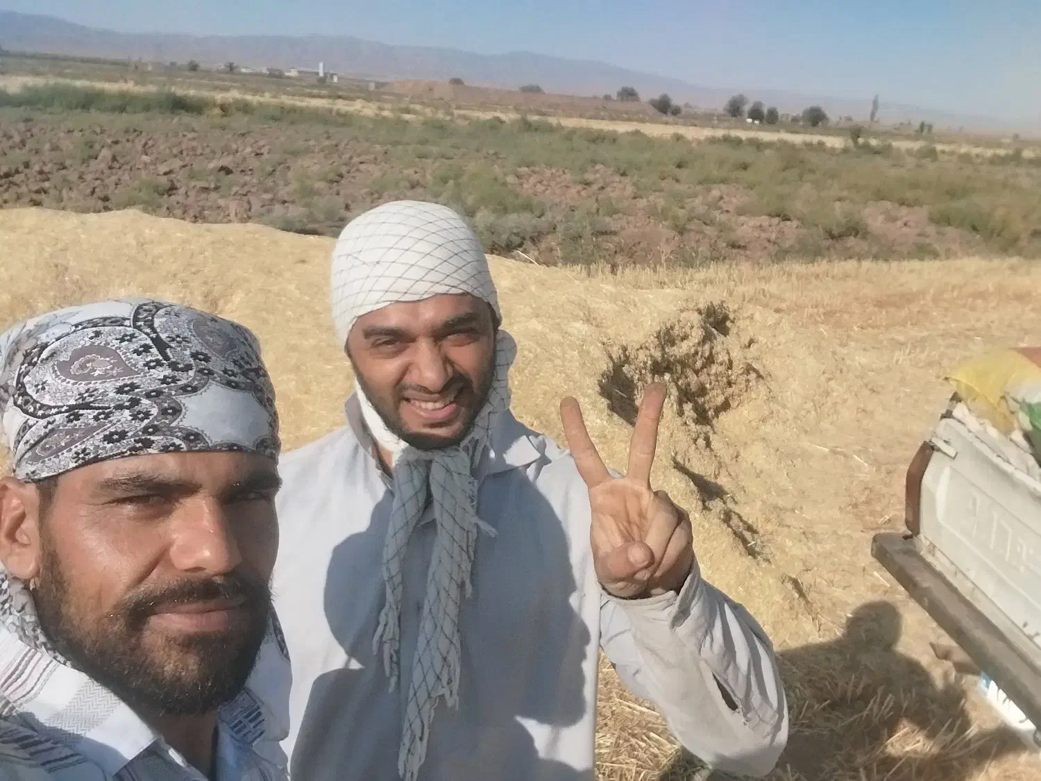 کاه گندم|لوازم جانبی حیوانات|مشهد, بهارستان|دیوار