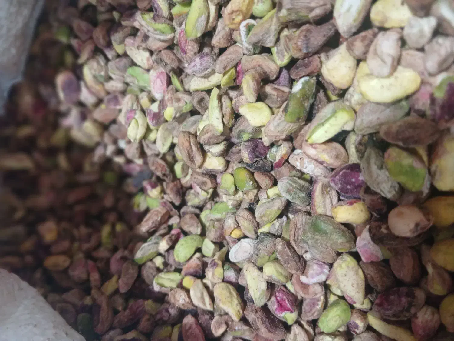 پسته اکبری از تولید به مصرف|عمدهفروشی|خلخال, |دیوار