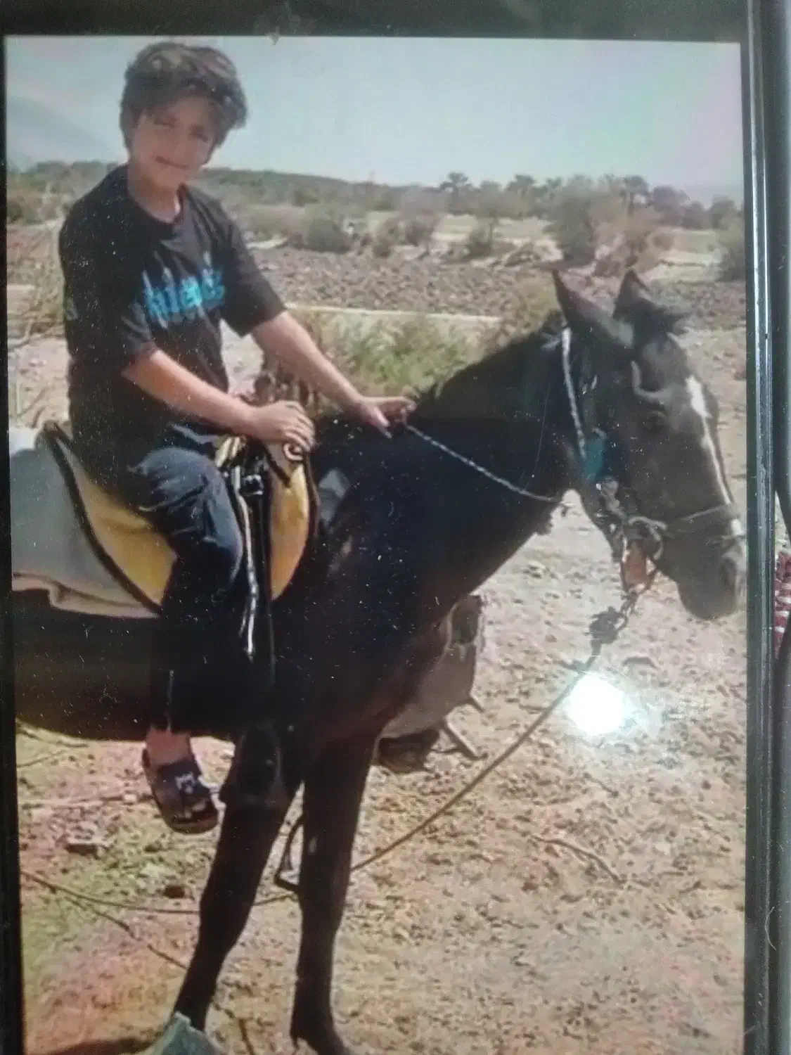 کره اسب عربی دوساله مشکی نر و رنگ هنایی یکساله|اسب و تجهیزات اسب‌سواری|قیروکارزین, |دیوار