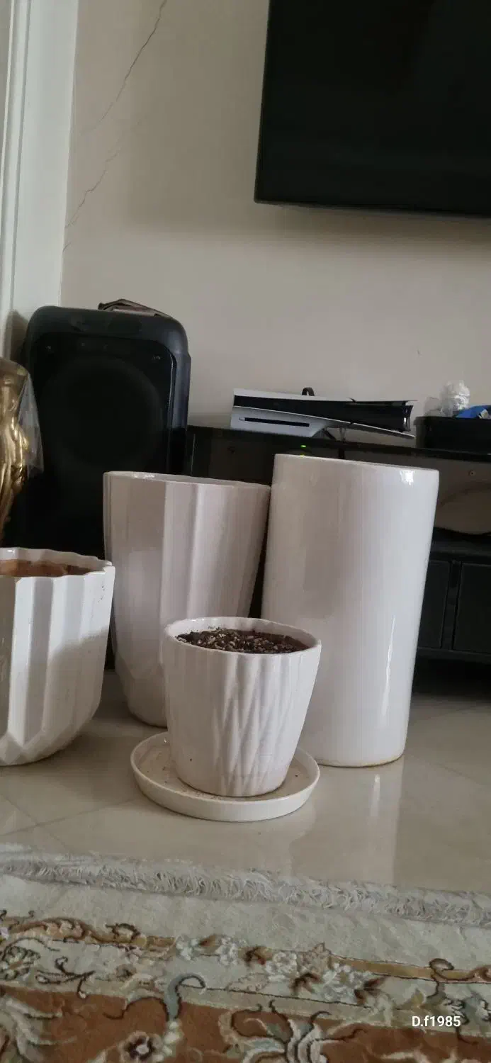 گلدان|گل و گیاه طبیعی|تهران, شهرک فردوس (حسینی)|دیوار