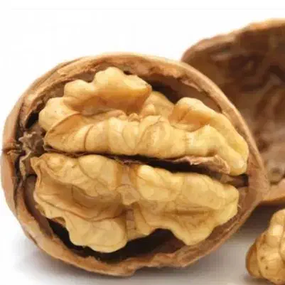 گردو|خوردنی و آشامیدنی|یزد, |دیوار