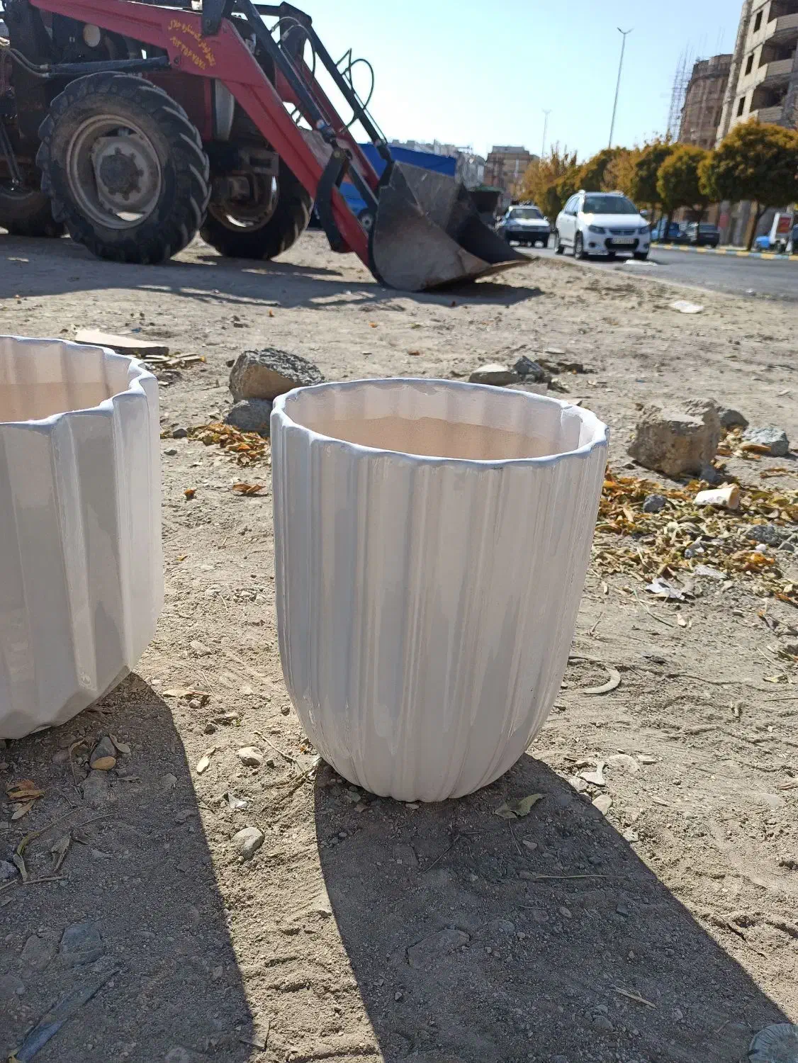 گلدان|گل و گیاه طبیعی|اسلام‌‌آباد غرب, |دیوار