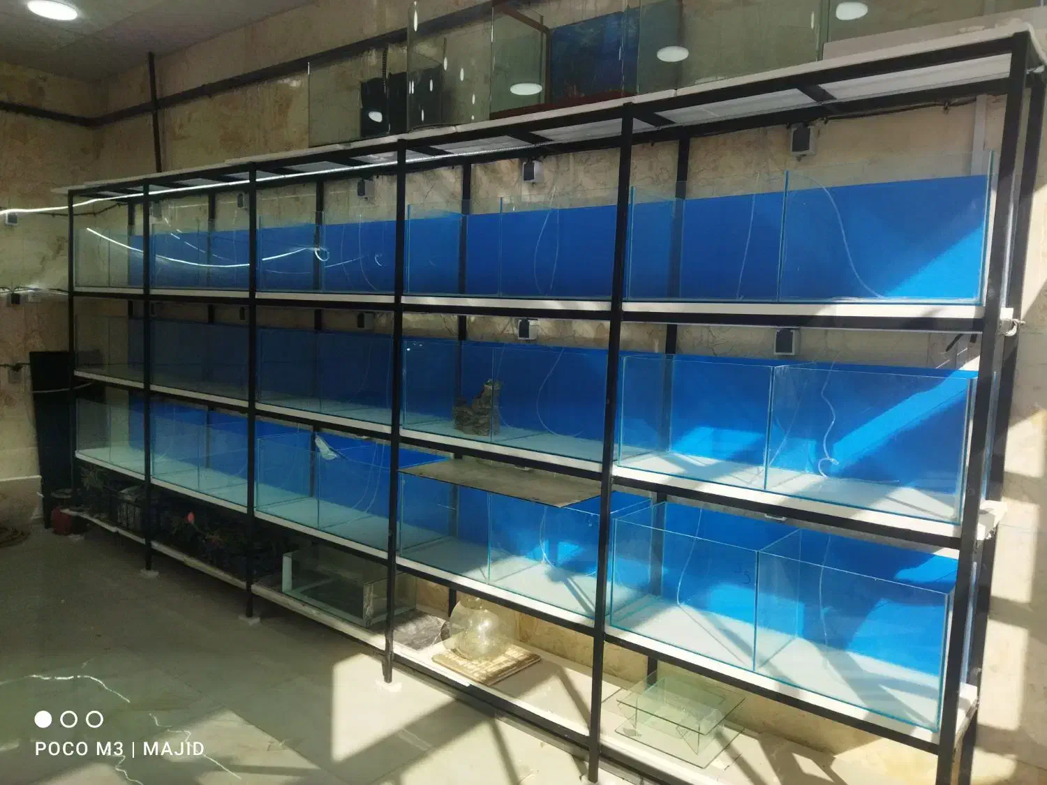 آکواریوم نو|ماهی|مشهد, انقلاب|دیوار