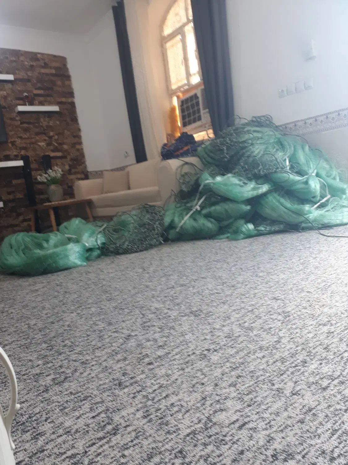 تور ماهیگیری|ماهیگیری|بوشهر, |دیوار