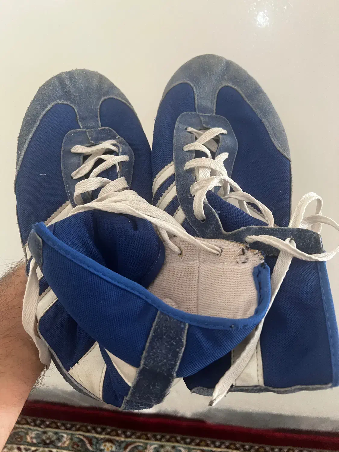 کفش کشتی|کیف، کفش، کمربند|اراک, |دیوار