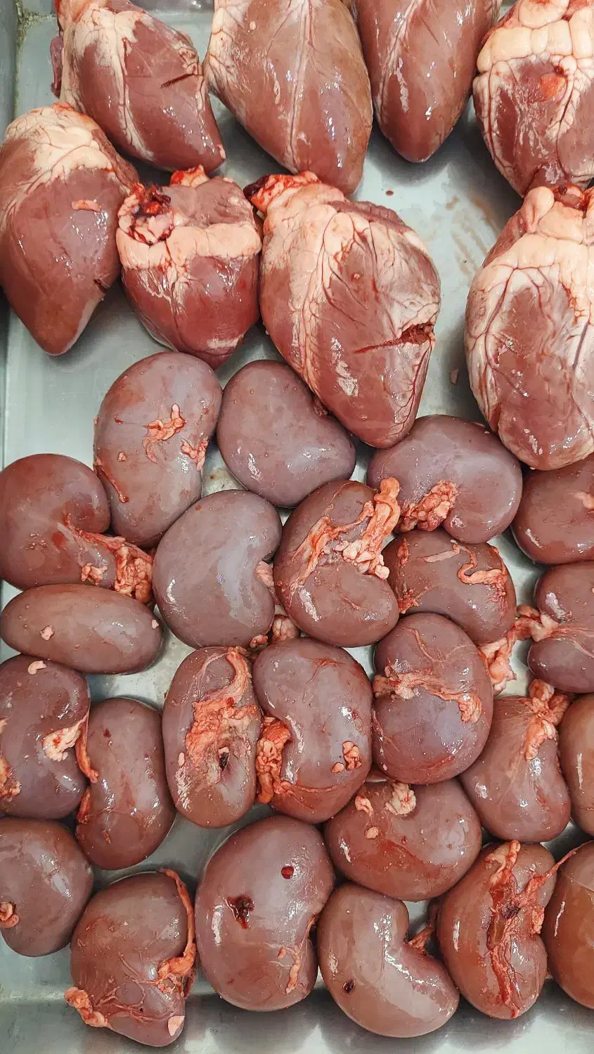 جگر گوسفندی|خوردنی و آشامیدنی|تهران, بهداشت|دیوار