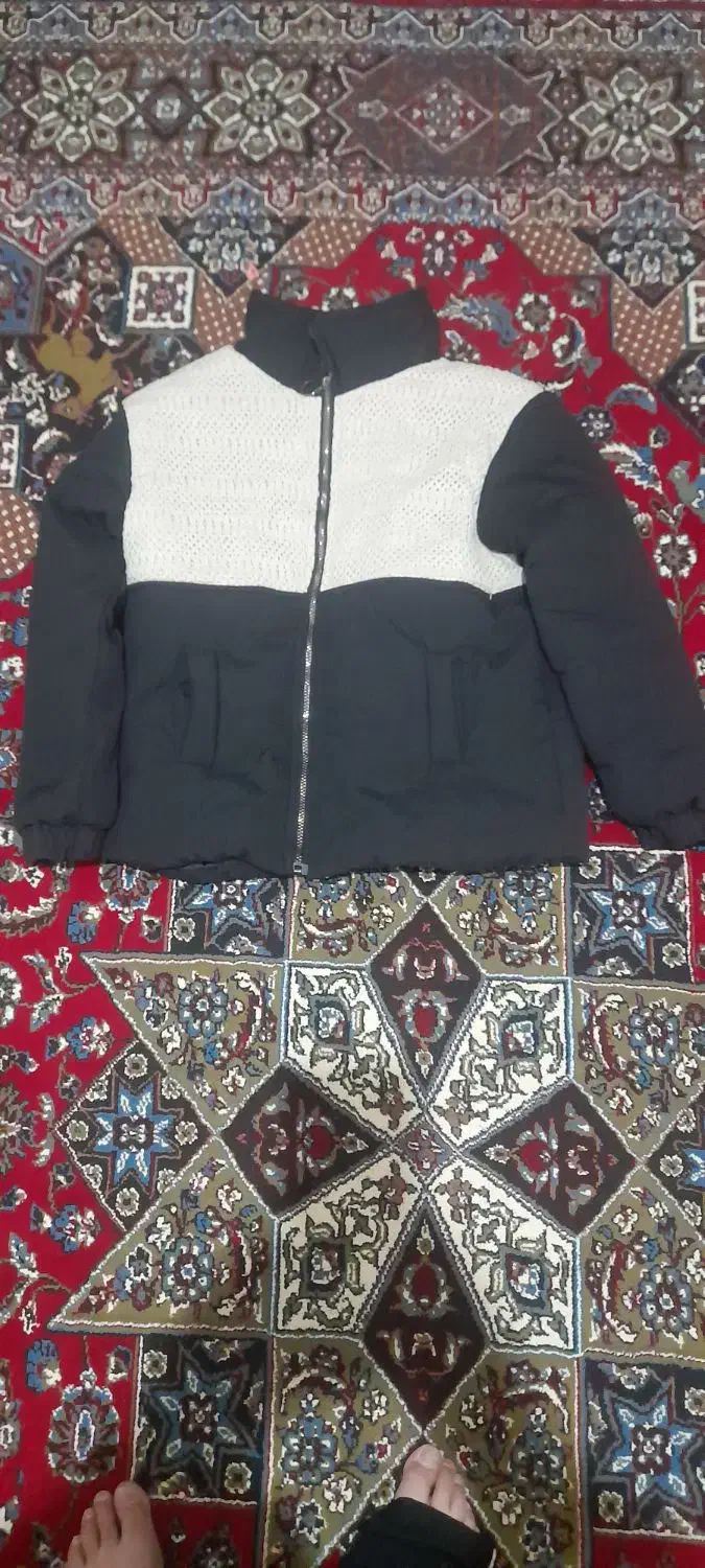 کاپشن دخترانه|لباس|اردبیل, |دیوار