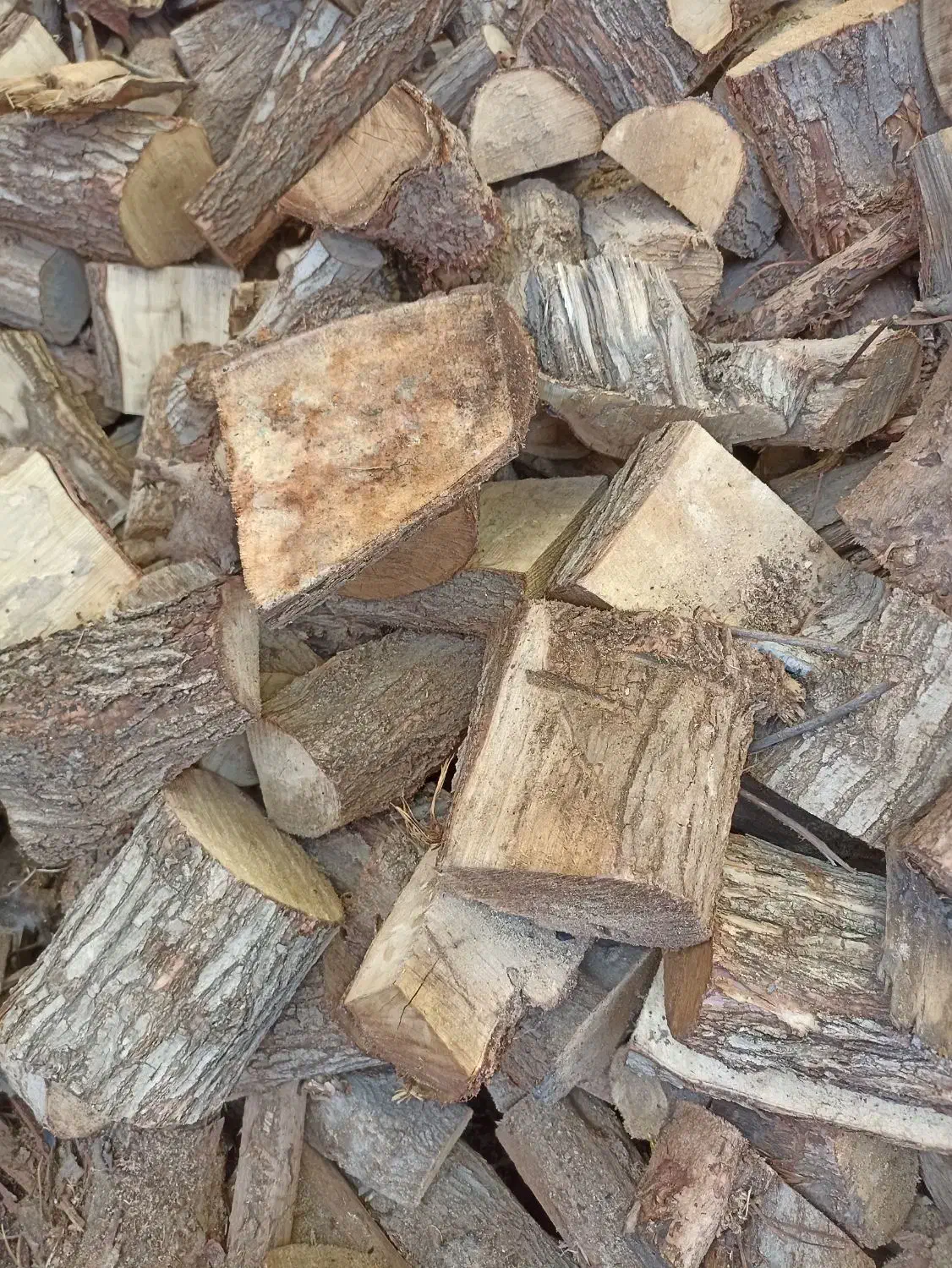 خریدار چوب ودرخت|خدمات باغبانی و درختکاری|شوشتر, |دیوار