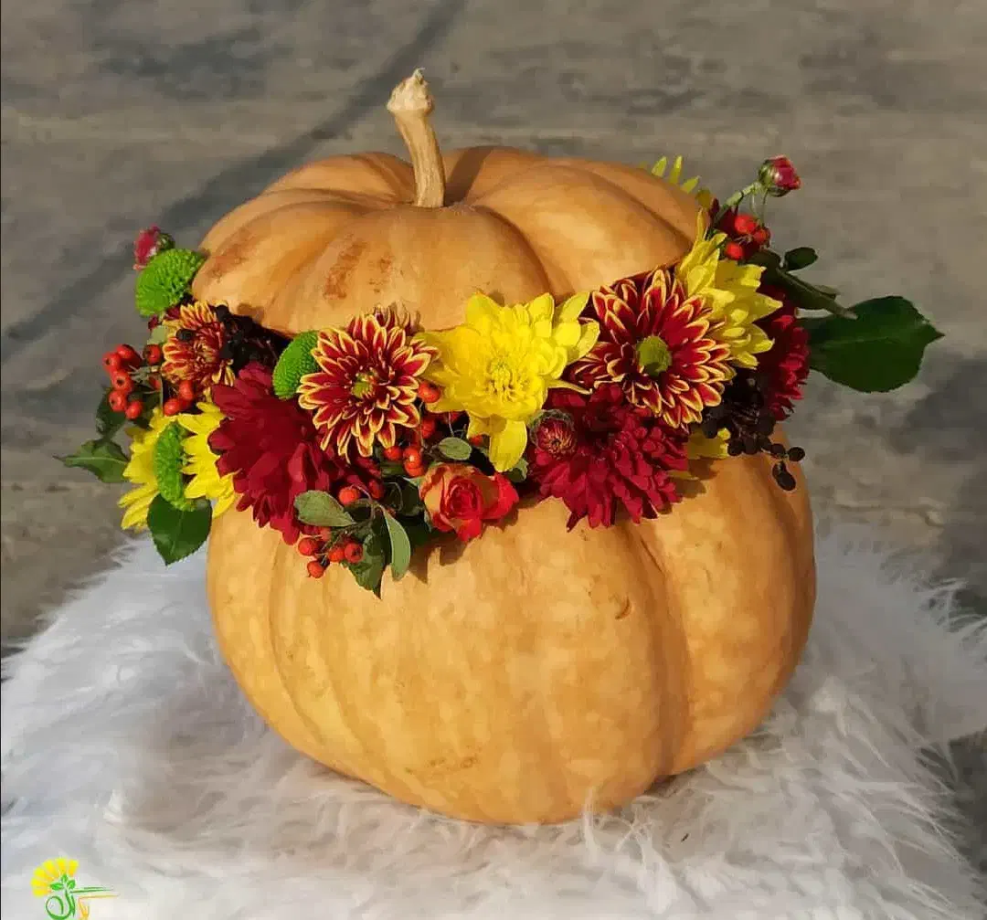 تزیینات یلدا|خدمات پذیرایی، مراسم|اراک, |دیوار