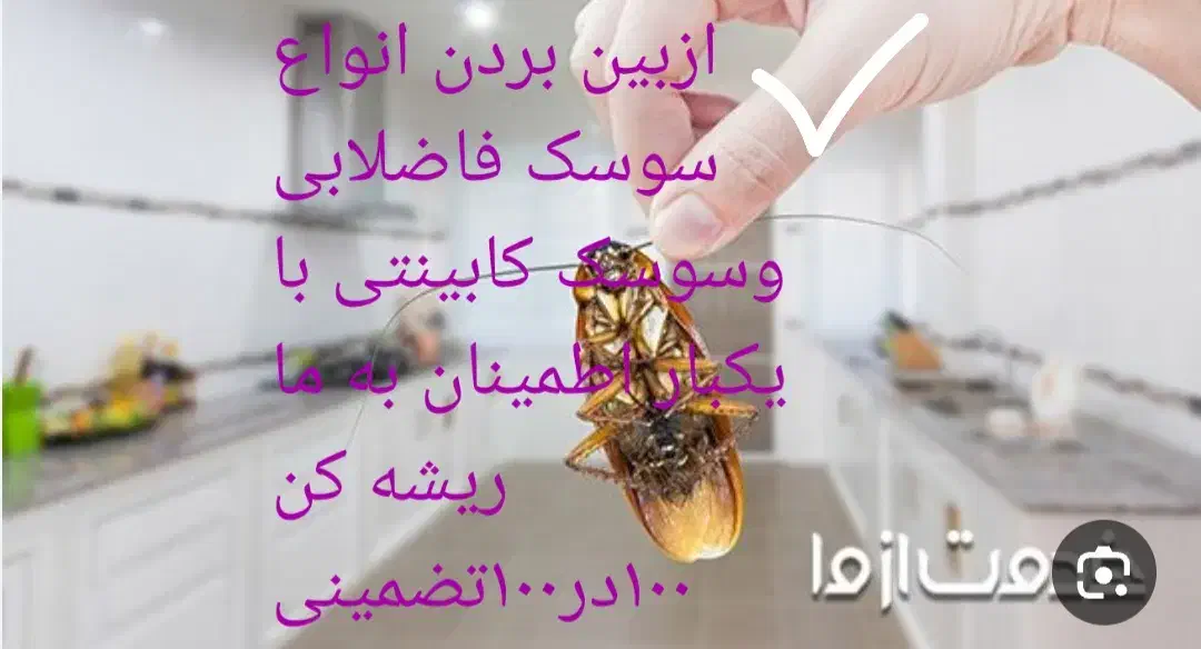 خدمات سمپاشی|خدمات نظافت|پردیس, فاز ۲|دیوار