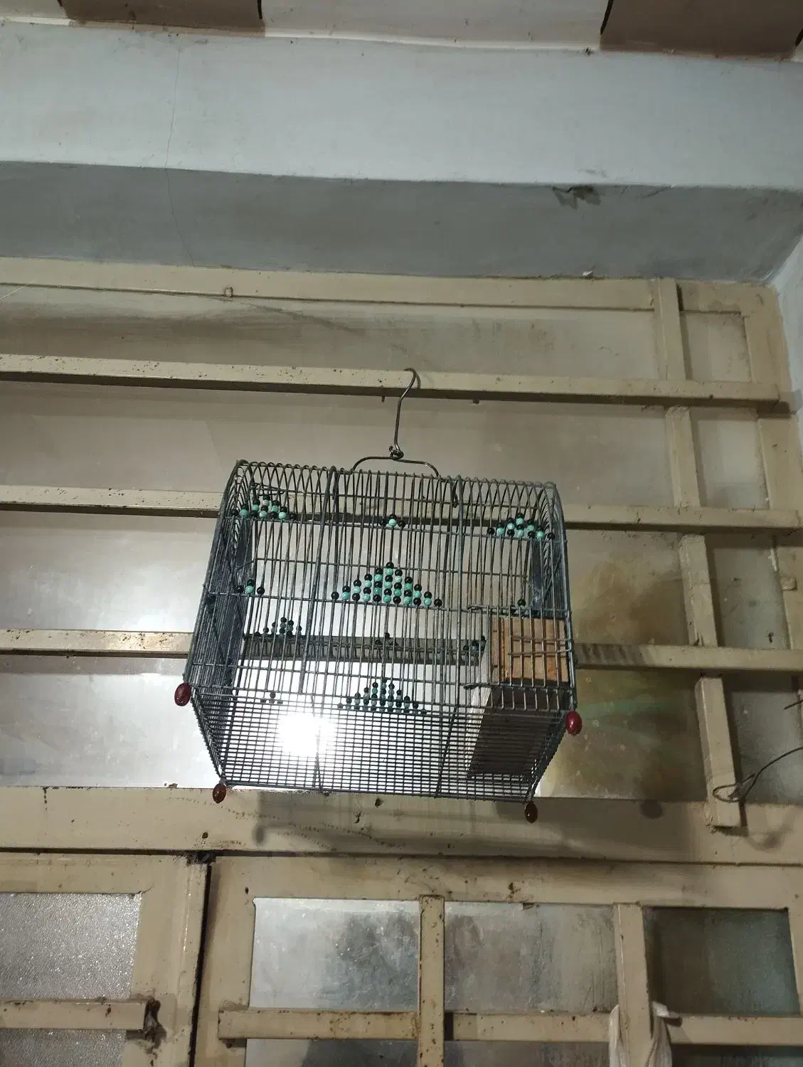 2عدد قفس سهره قیمت دونه 750000هزار تومن یک کلام|لوازم جانبی حیوانات|شیراز, شهرک قمشه|دیوار