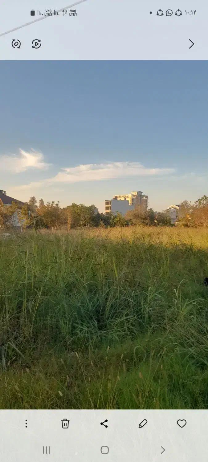 ۲۴۰۰ متر زمین در بام وارتفاع مازو پشته|مشارکت در ساخت املاک|چالوس, |دیوار