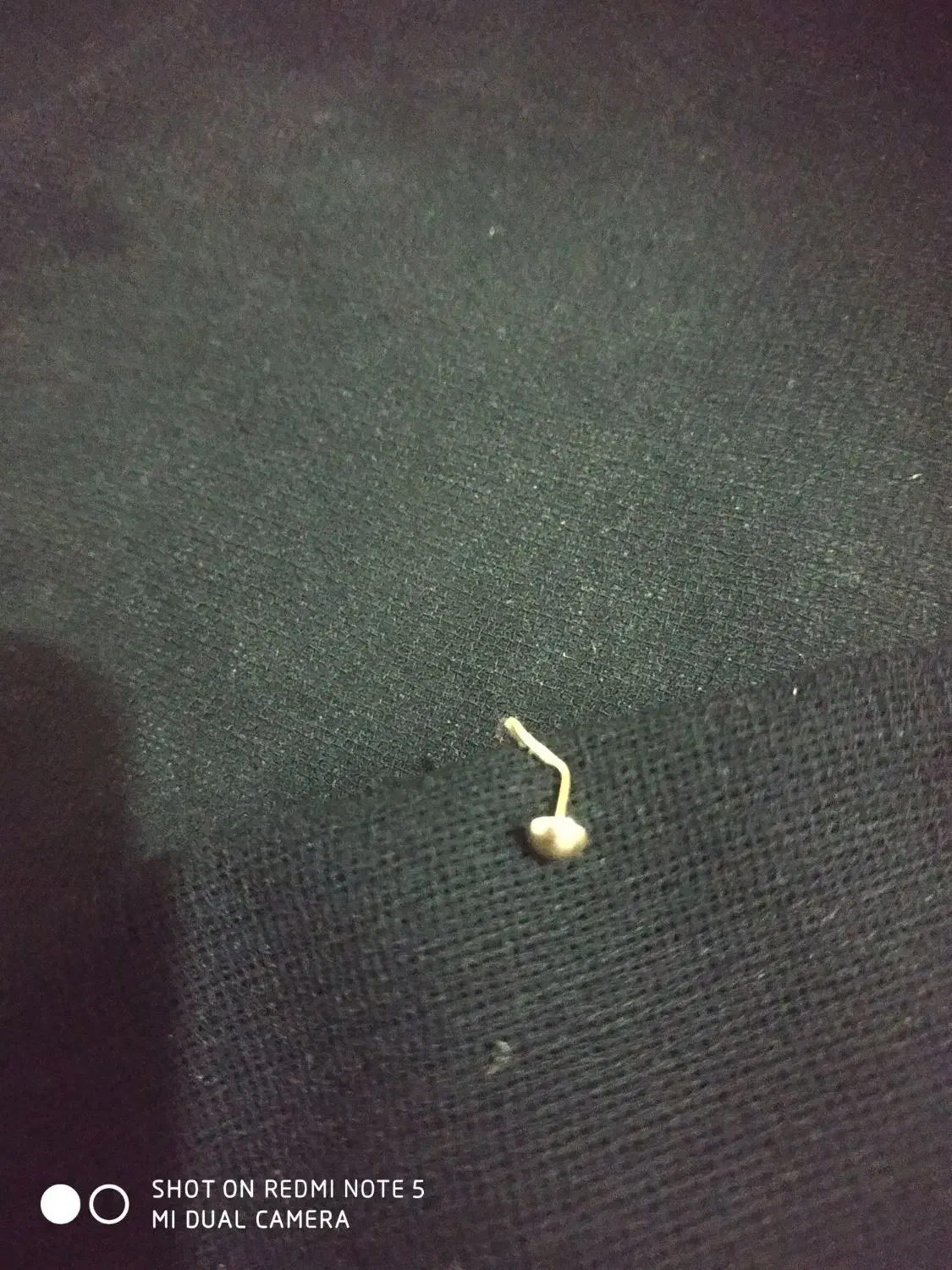 پولوک طلا|جواهرات|زاهدان, |دیوار