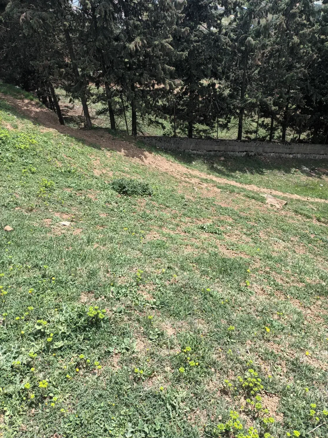 زمین تجاری مسکونی|فروش زمین و ملک کلنگی|تهران, جنت‌آباد شمالی|دیوار