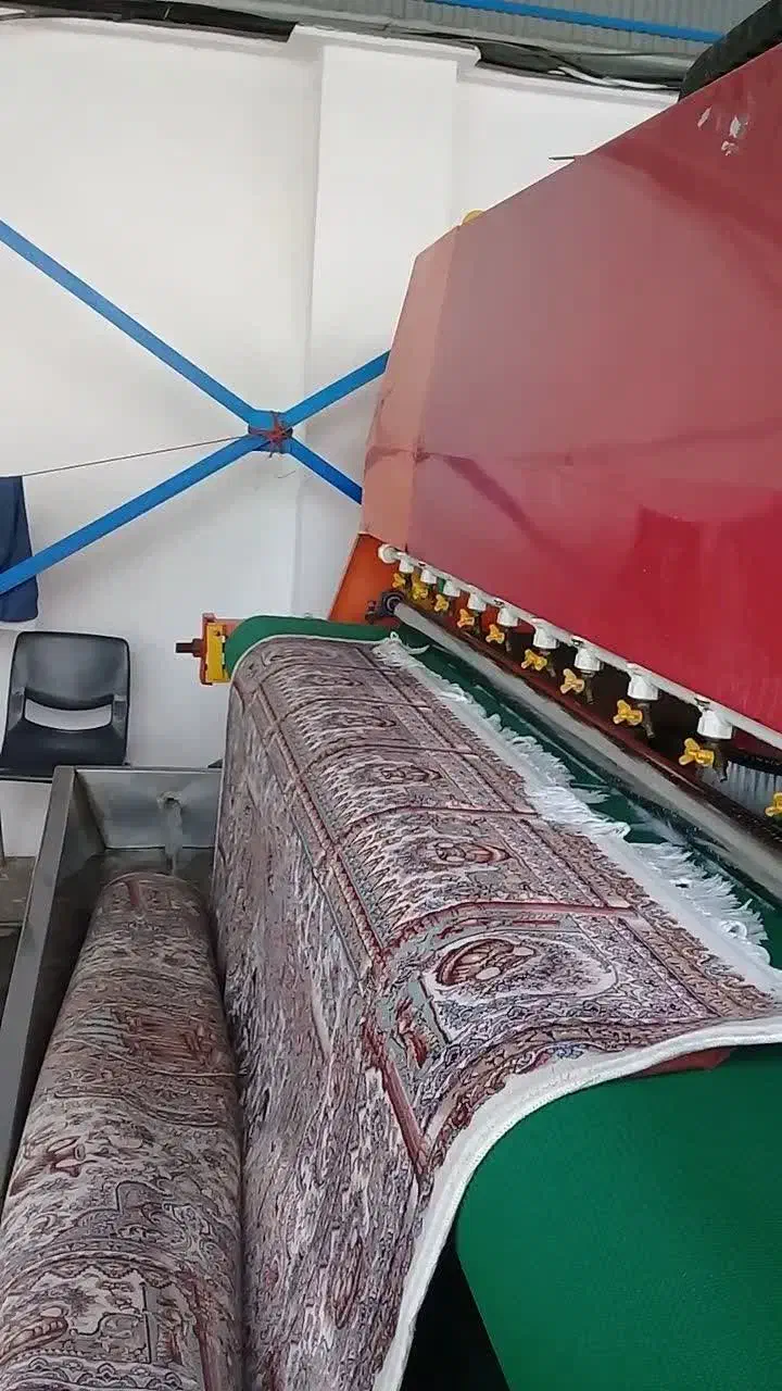 قالیشویی و مبلشویی ممتاز پرهام ( کاملا تضمینی)|خدمات نظافت|رشت, معلولین|دیوار