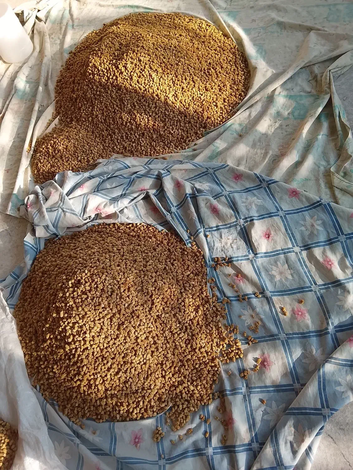 توت خشک درجه یک|خوردنی و آشامیدنی|نیر (یزد), |دیوار